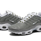 Air Max TN Plus "Flat Pewter”