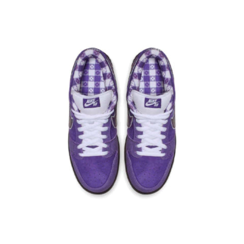 CONCEPTS X NIKE DUNK LOW "PURPLE LOBSTER"